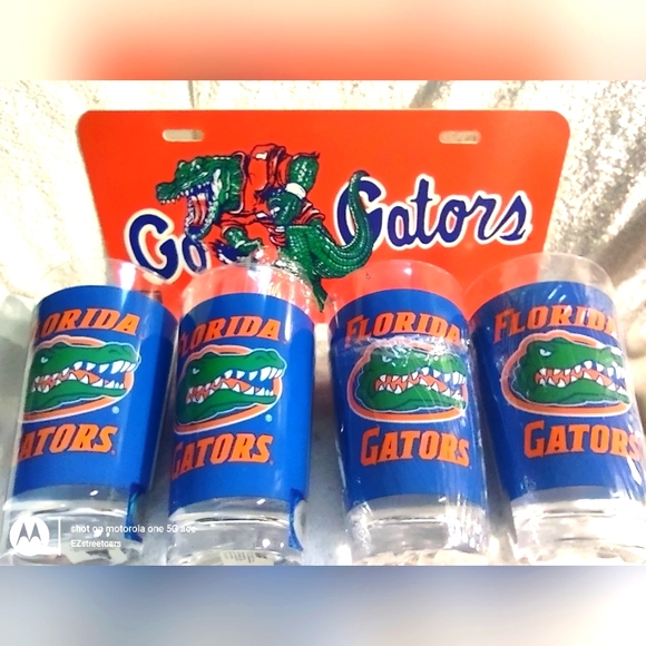 Florida Gators Fan Pack. 4 Adult Beverage Plastic Tumblers & License Plate.. - Picture 1 of 3
